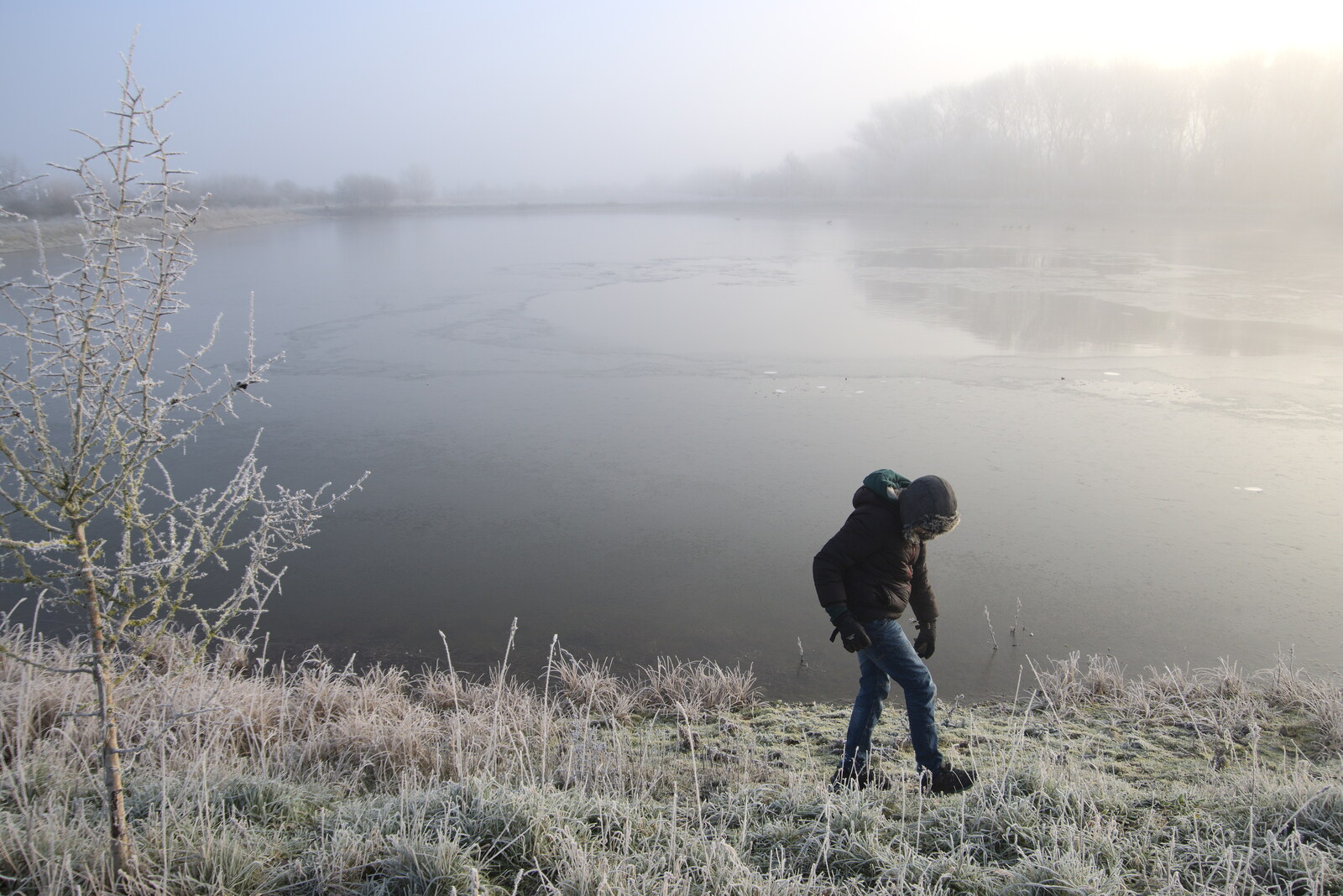 A Frosty Walk Around Brome, Suffolk - 22nd January 2023: Fred stomps around looking for stones to throw