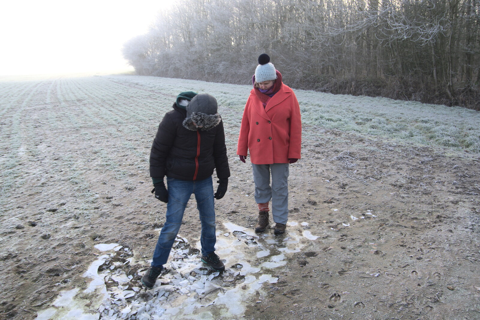 A Frosty Walk Around Brome, Suffolk - 22nd January 2023: Fred stomps on some ice