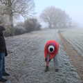 Isobel pulls a sock up, A Frosty Walk Around Brome, Suffolk - 22nd January 2023