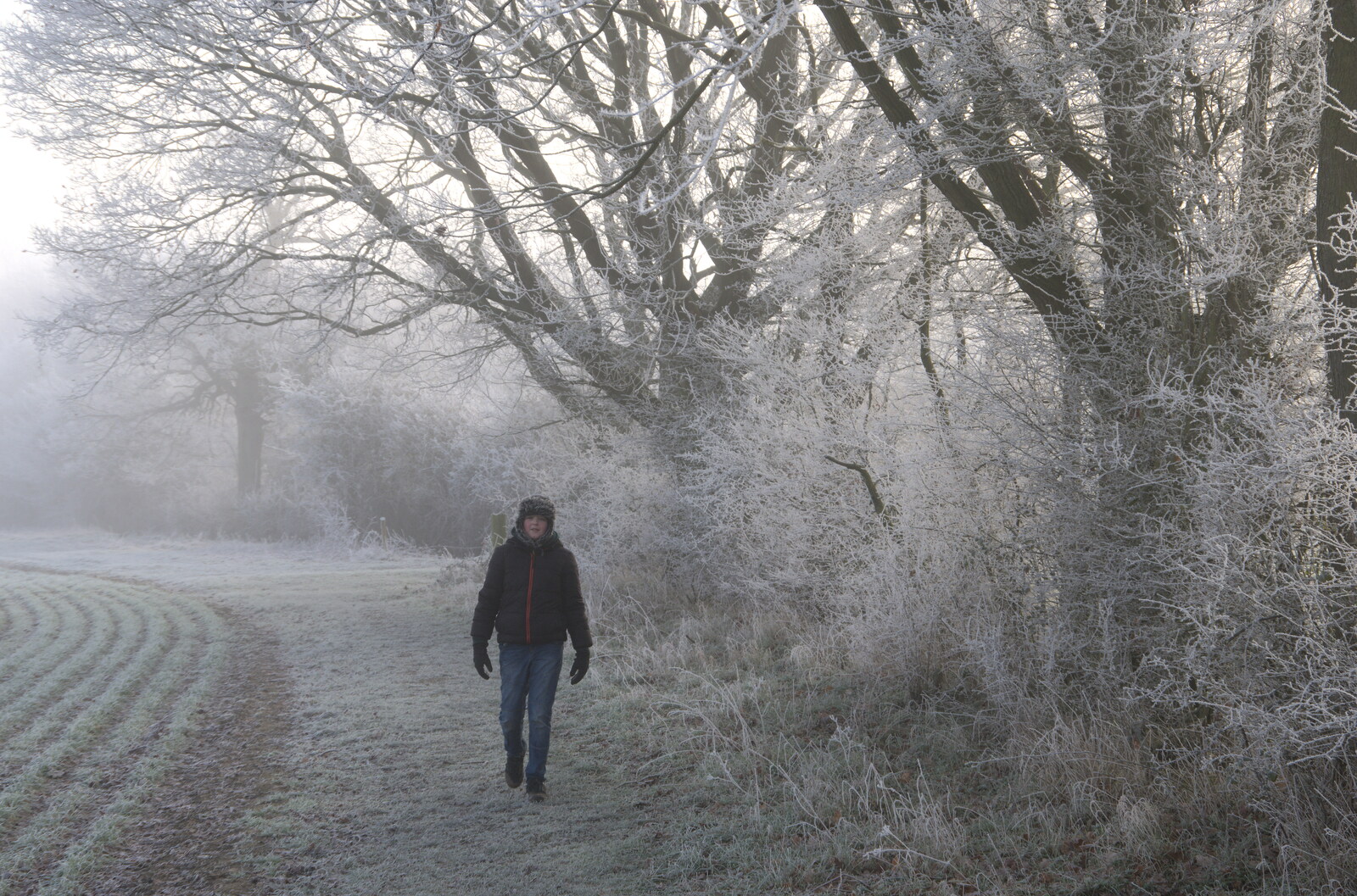 A Frosty Walk Around Brome, Suffolk - 22nd January 2023: Fred walks around the fields