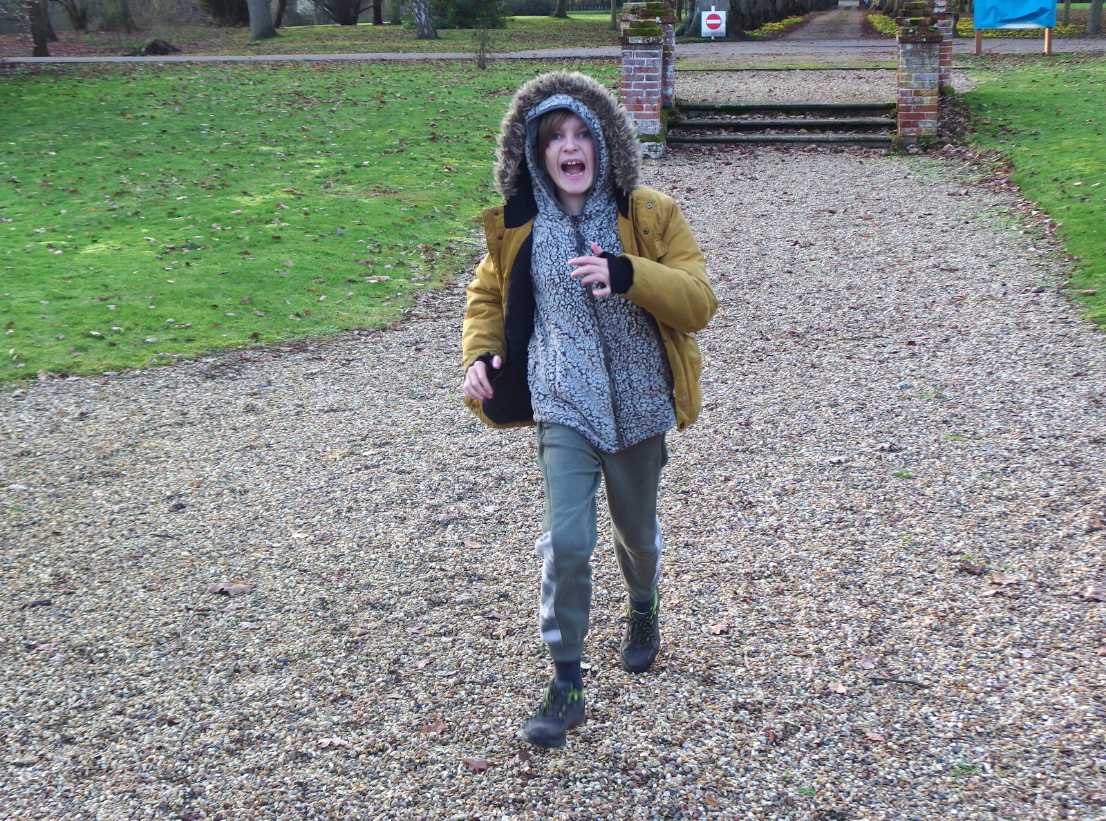Harry runs around outside in the Oaksmere from A Trip to Ampersand, Sawmills Road, Diss - 27th January 2023