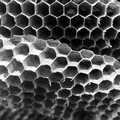 A closeup of wasp honeycombs, A Trip to Ampersand, Sawmills Road, Diss - 27th January 2023