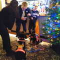 There are some performing Christmas dogs in the Tree, Cameraphone Catch-up and a B-17 Crash, Brome, Suffolk - 4th February 2023