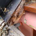 There are some very rotten rafter feet to replace, Cameraphone Catch-up and a B-17 Crash, Brome, Suffolk - 4th February 2023