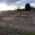 Harry's in the side field, Cameraphone Catch-up and a B-17 Crash, Brome, Suffolk - 4th February 2023