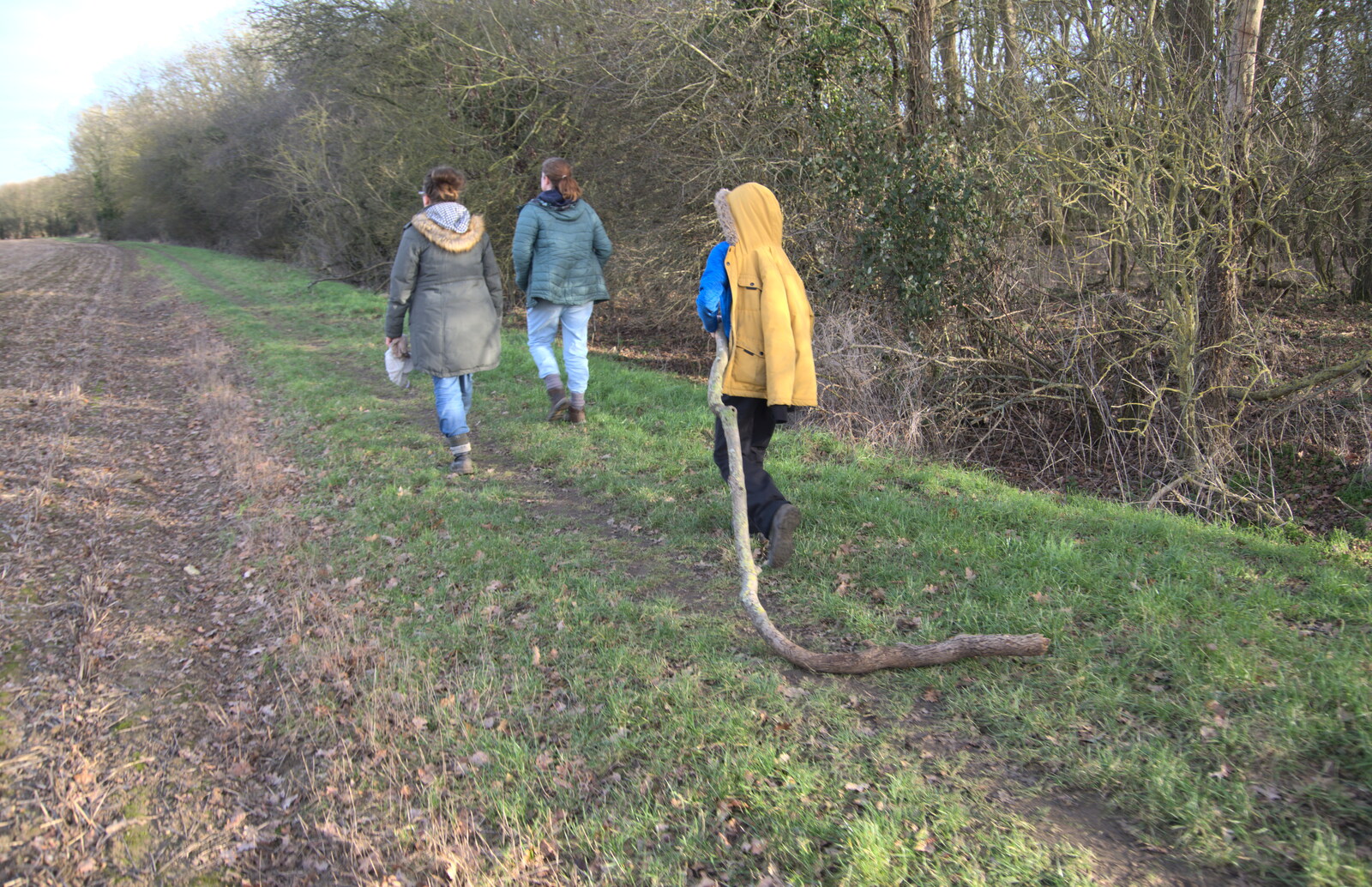 Harry's picked up a very large stick from Another Walk to The Swan, Hoxne, Suffolk - 5th February 2023