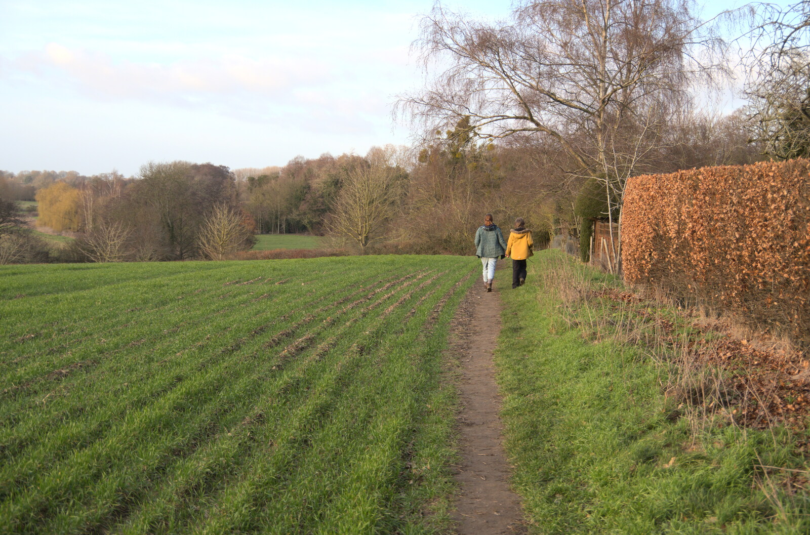 Isobel and Harry walk back from Another Walk to The Swan, Hoxne, Suffolk - 5th February 2023