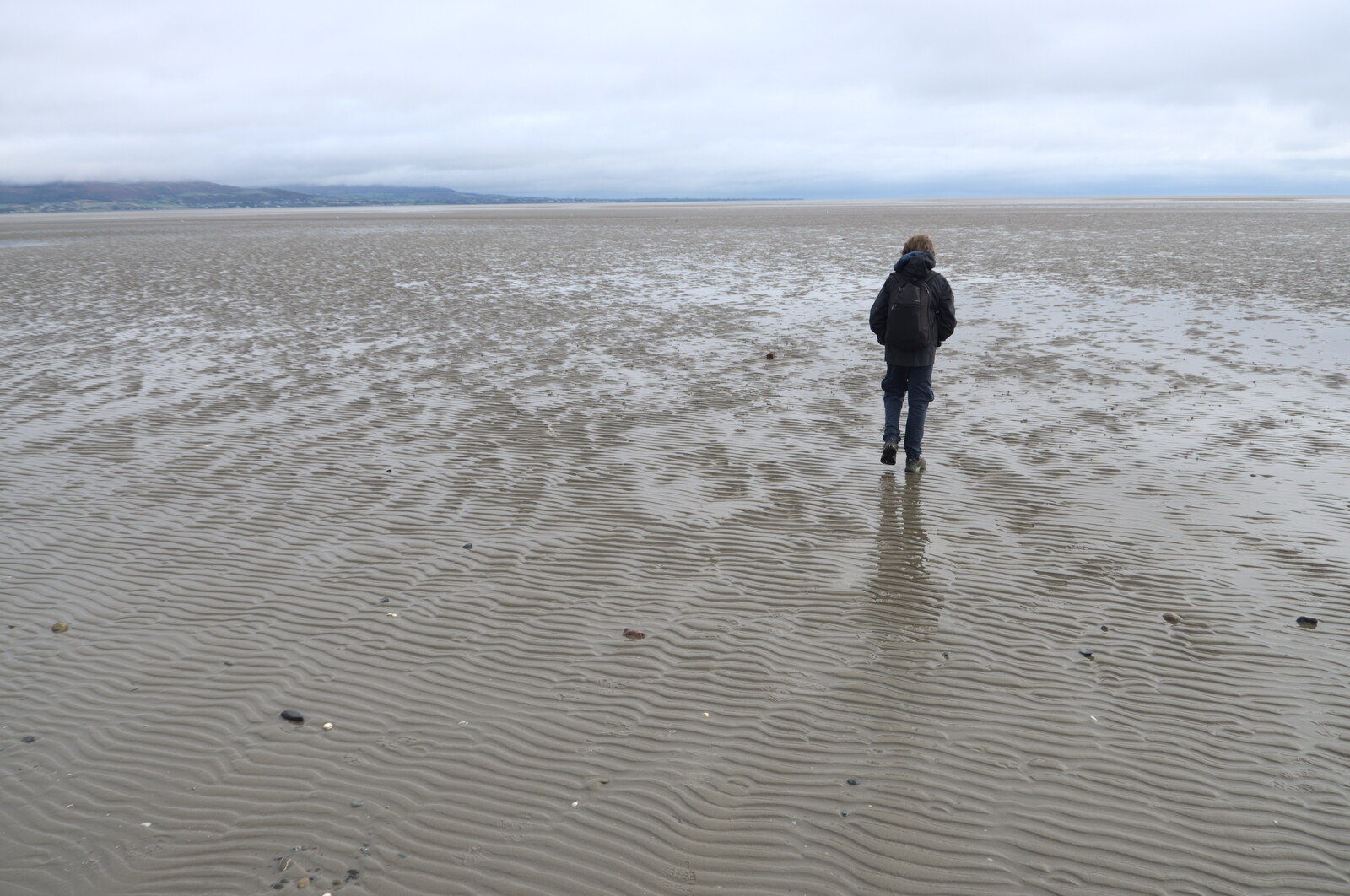 Blackrock North and Newgrange, County Louth, Ireland - 16th February 2023: Fred on the mudflats of Blackrock north