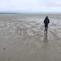 Fred on the mudflats of Blackrock north, Blackrock North and Newgrange, County Louth, Ireland - 16th February 2023