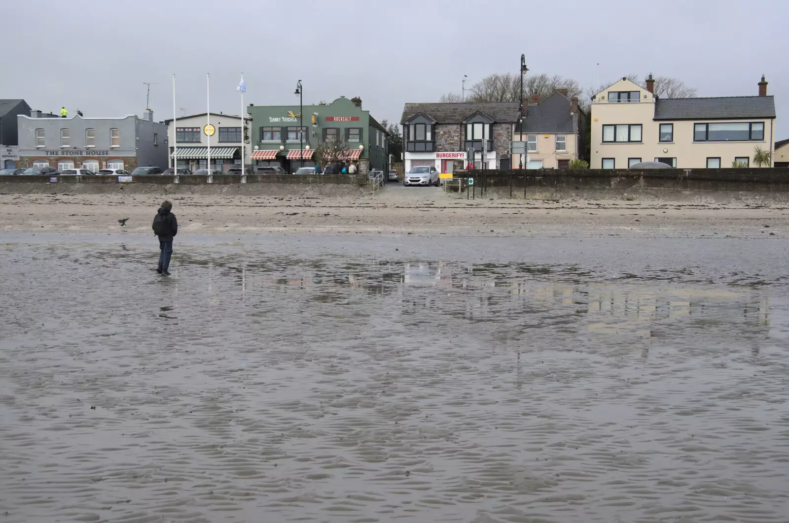 Fred roams around , from Blackrock North and Newgrange, County Louth, Ireland - 16th February 2023