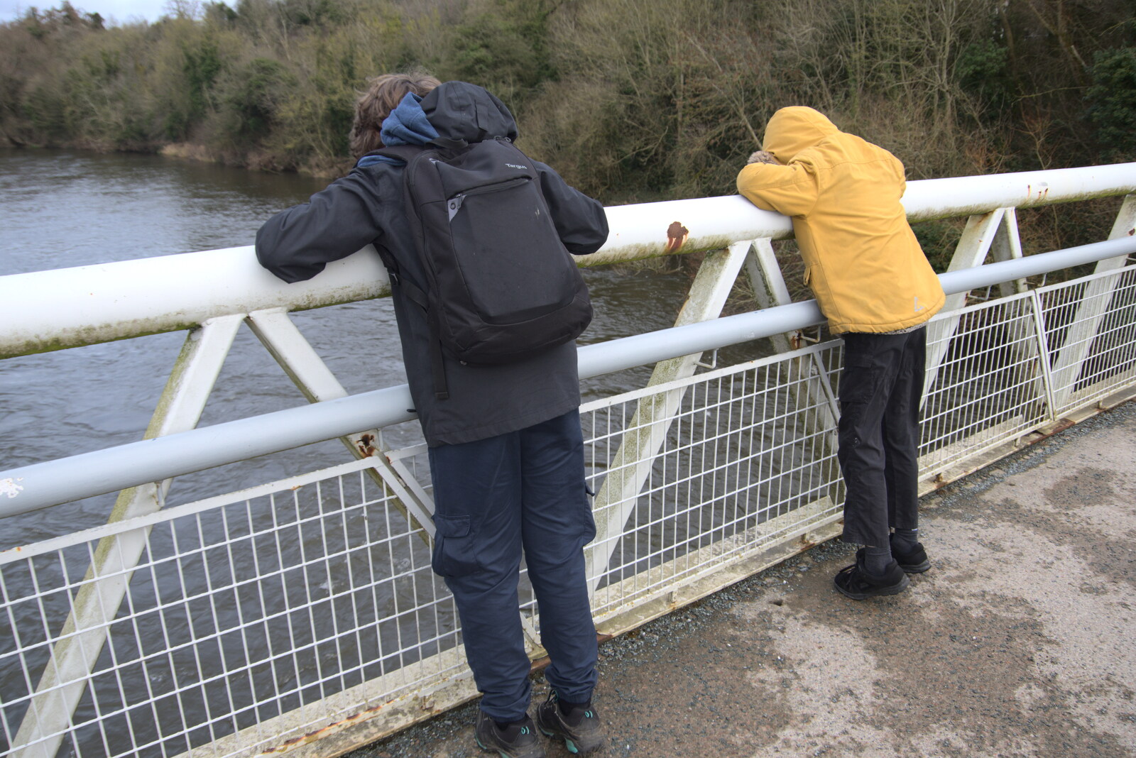 Blackrock North and Newgrange, County Louth, Ireland - 16th February 2023: Fred and Harry play Pooh Sticks on the Boyne