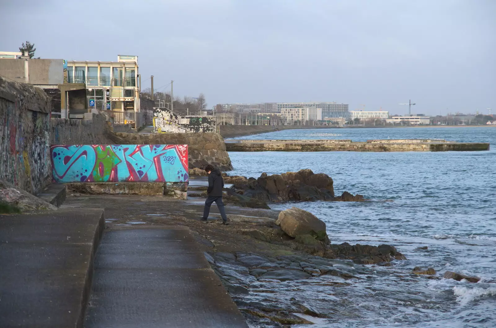 Fred stumps off along the rocks, from The Dead Zoo, Dublin, Ireland - 17th February 2023