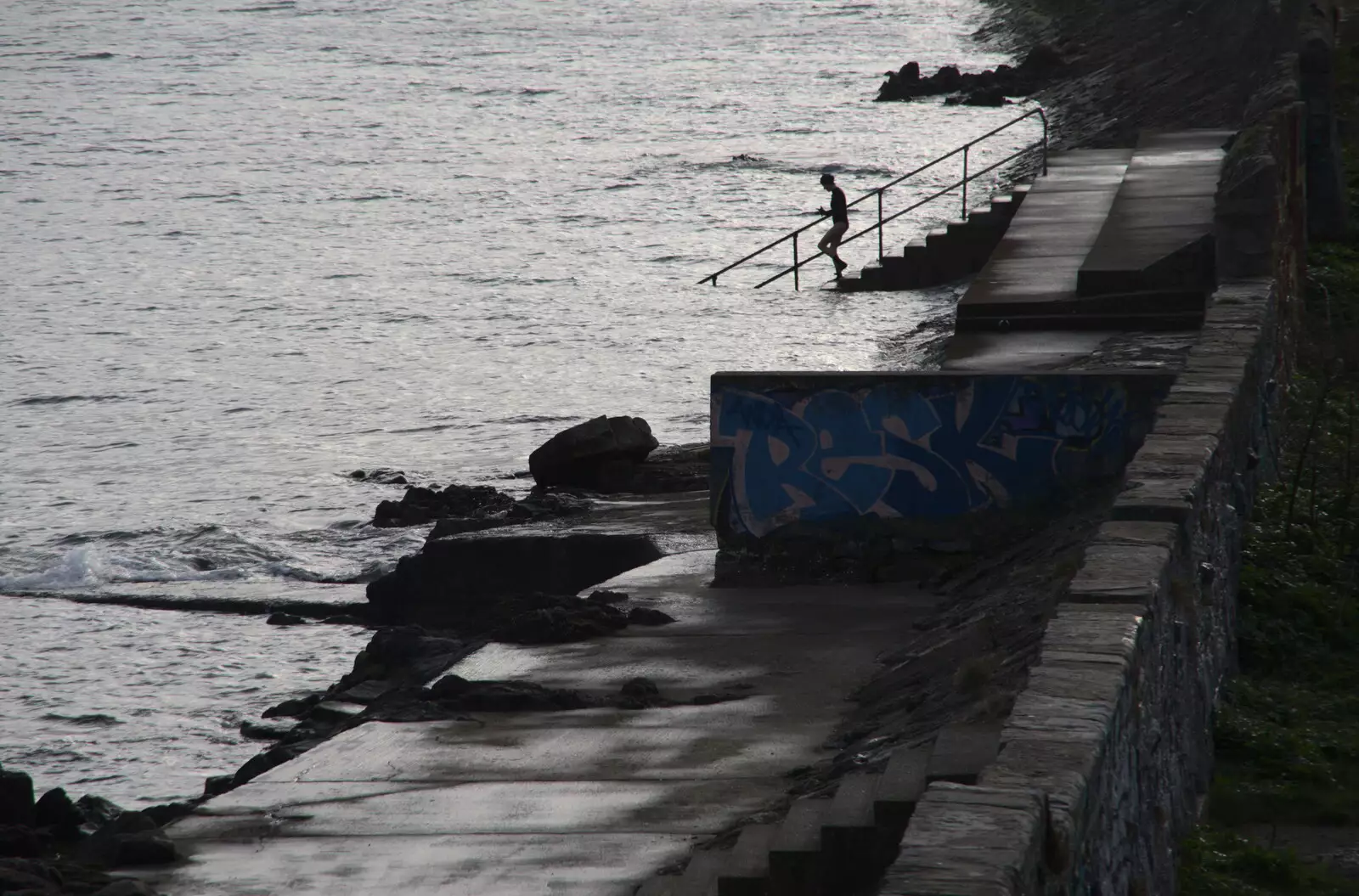 One of Evelyn's swimming chums heads into the sea, from The Dead Zoo, Dublin, Ireland - 17th February 2023