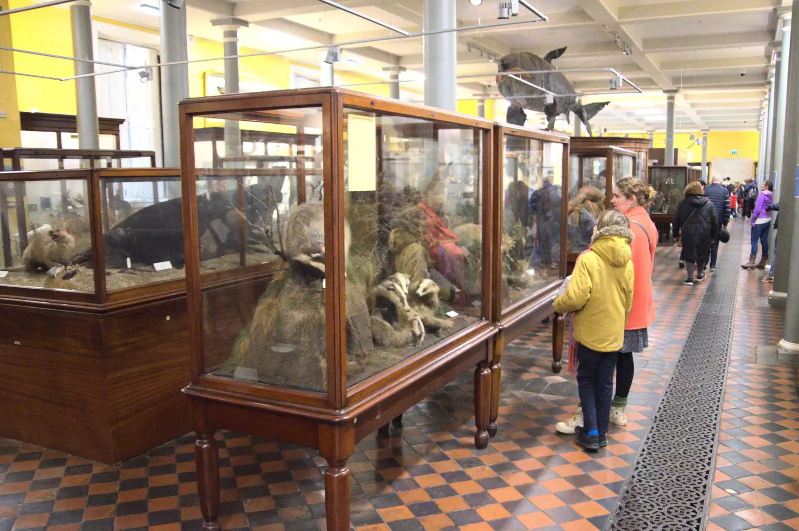 Harry and Isobel look at cases of dead stuff, from The Dead Zoo, Dublin, Ireland - 17th February 2023