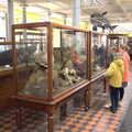 Harry and Isobel look at cases of dead stuff, The Dead Zoo, Dublin, Ireland - 17th February 2023