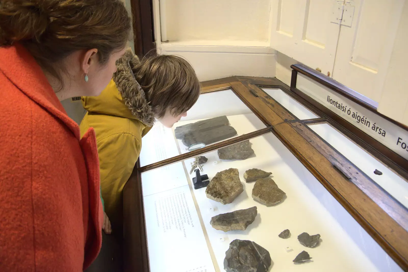 Harry peers at some fossils, from The Dead Zoo, Dublin, Ireland - 17th February 2023