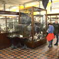 More specimen cases in the Dead Zoo, The Dead Zoo, Dublin, Ireland - 17th February 2023