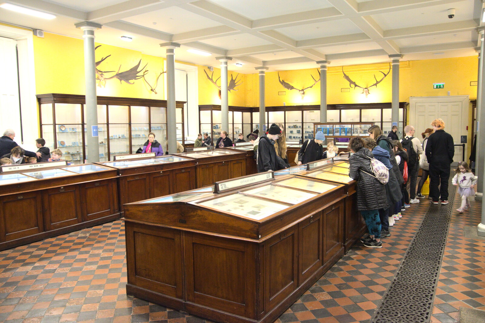 The Dead Zoo, Dublin, Ireland - 17th February 2023: Insect specimens in cases