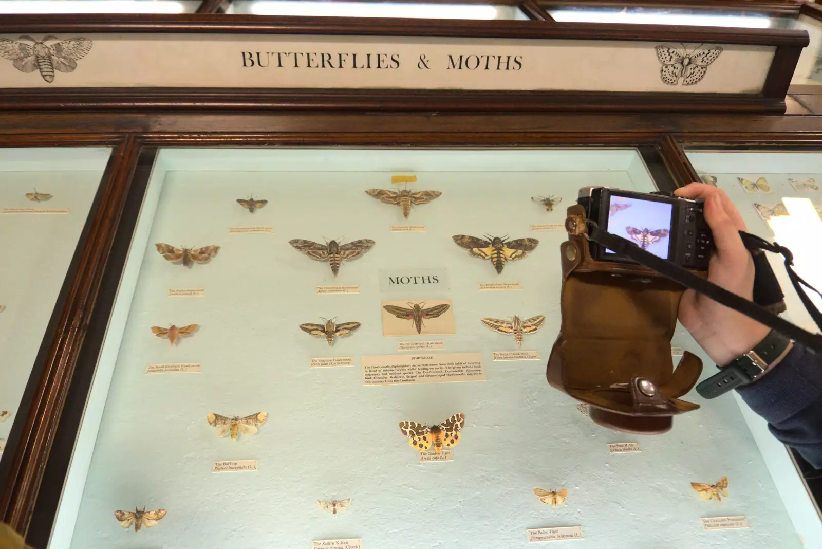 Fred gets a close-up of a moth, from The Dead Zoo, Dublin, Ireland - 17th February 2023