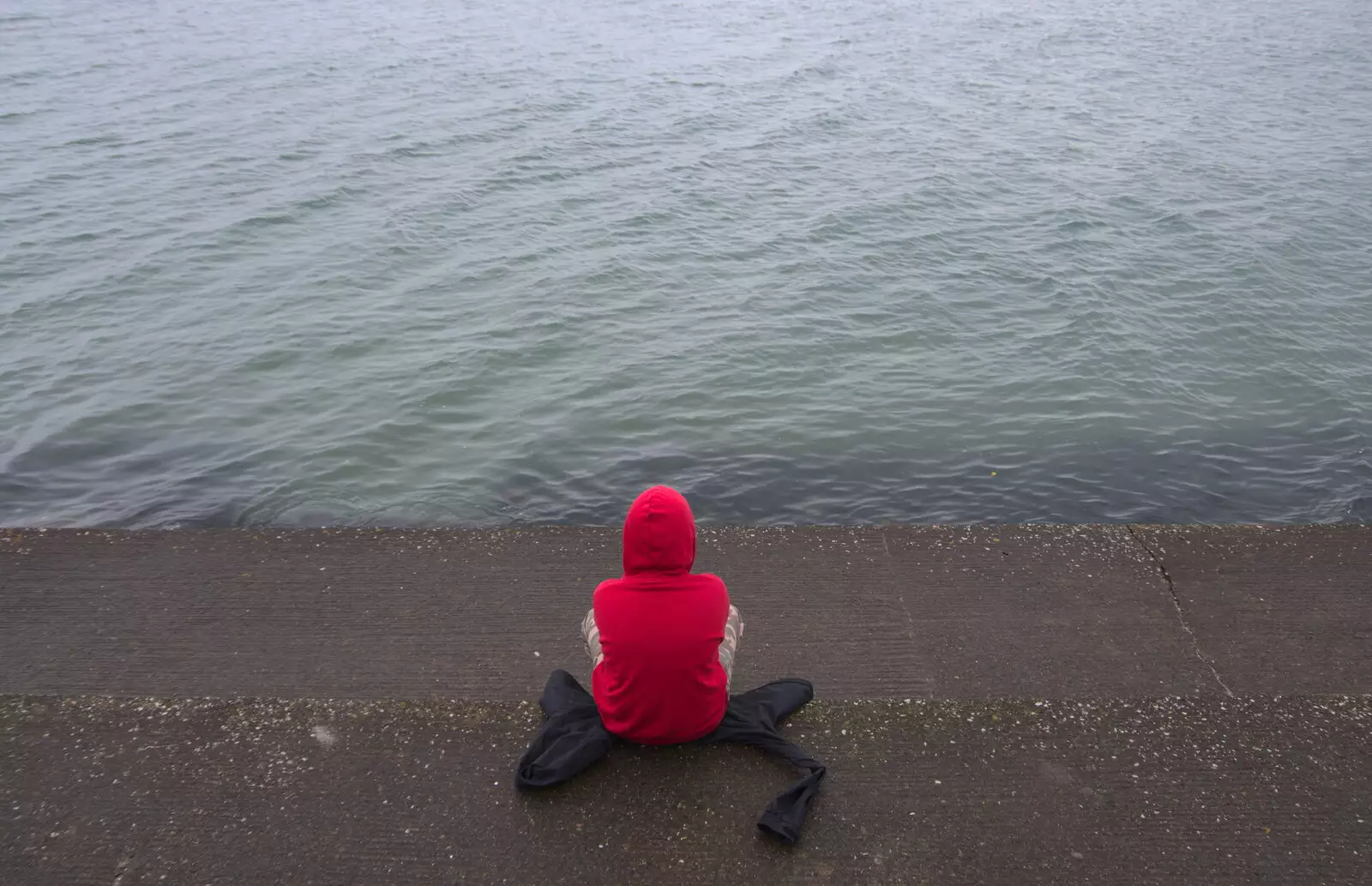 Fred watches the sea, from The End of the Breffni, Blackrock, Dublin - 18th February 2023