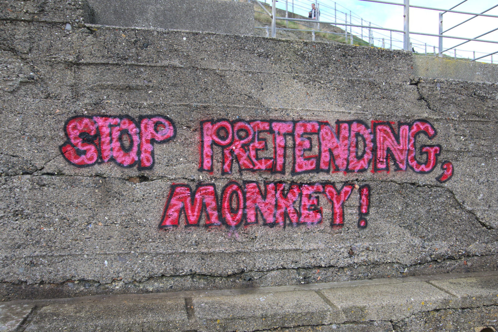 The End of the Breffni, Blackrock, Dublin - 18th February 2023: A message for Monkey