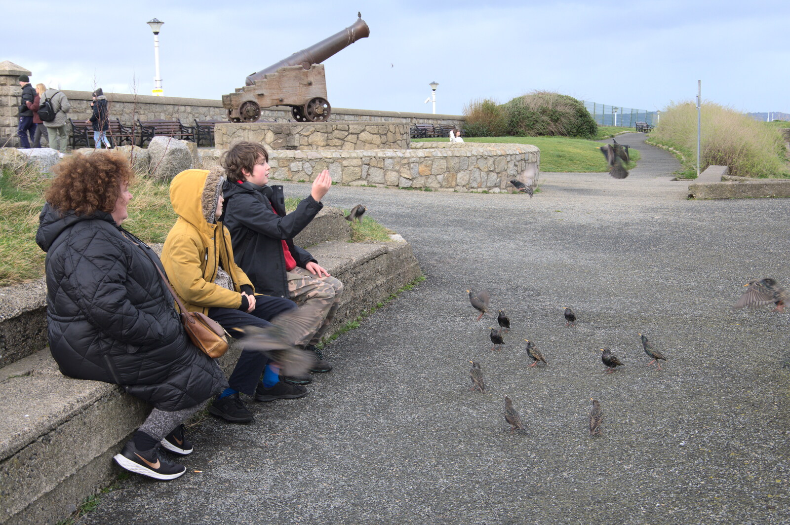 The End of the Breffni, Blackrock, Dublin - 18th February 2023: Fred's training starlings 