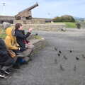 Fred's training starlings , The End of the Breffni, Blackrock, Dublin - 18th February 2023