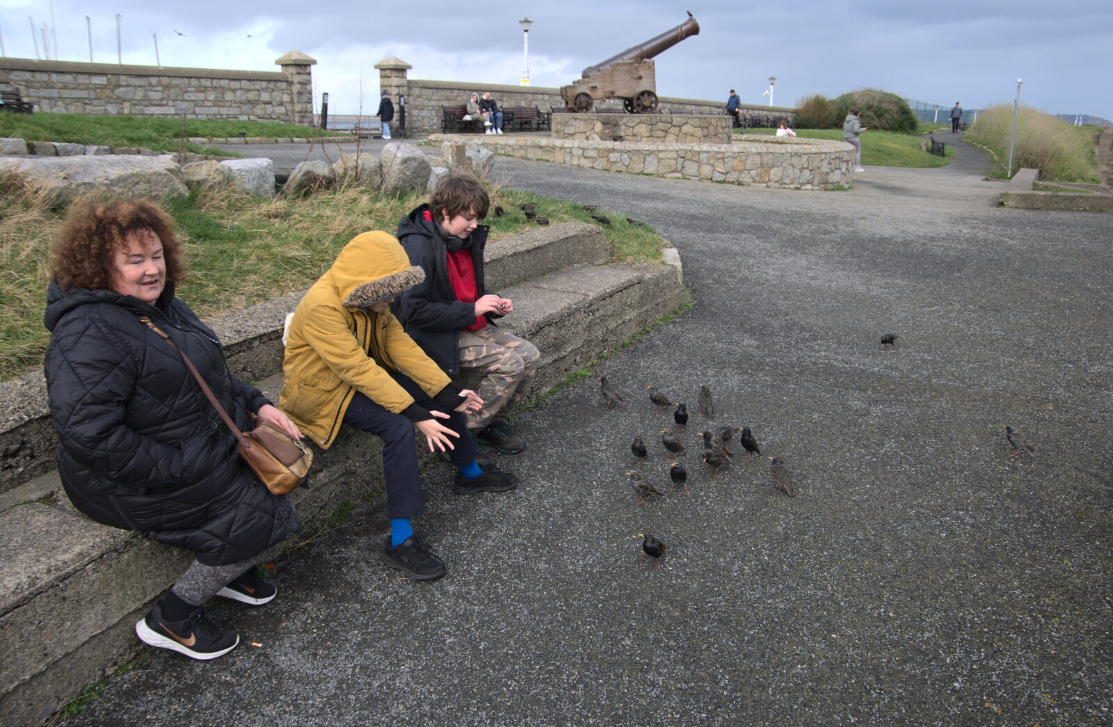 The End of the Breffni, Blackrock, Dublin - 18th February 2023: Harry tries his Ninja moves on the starlings