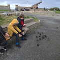 Harry tries his Ninja moves on the starlings, The End of the Breffni, Blackrock, Dublin - 18th February 2023
