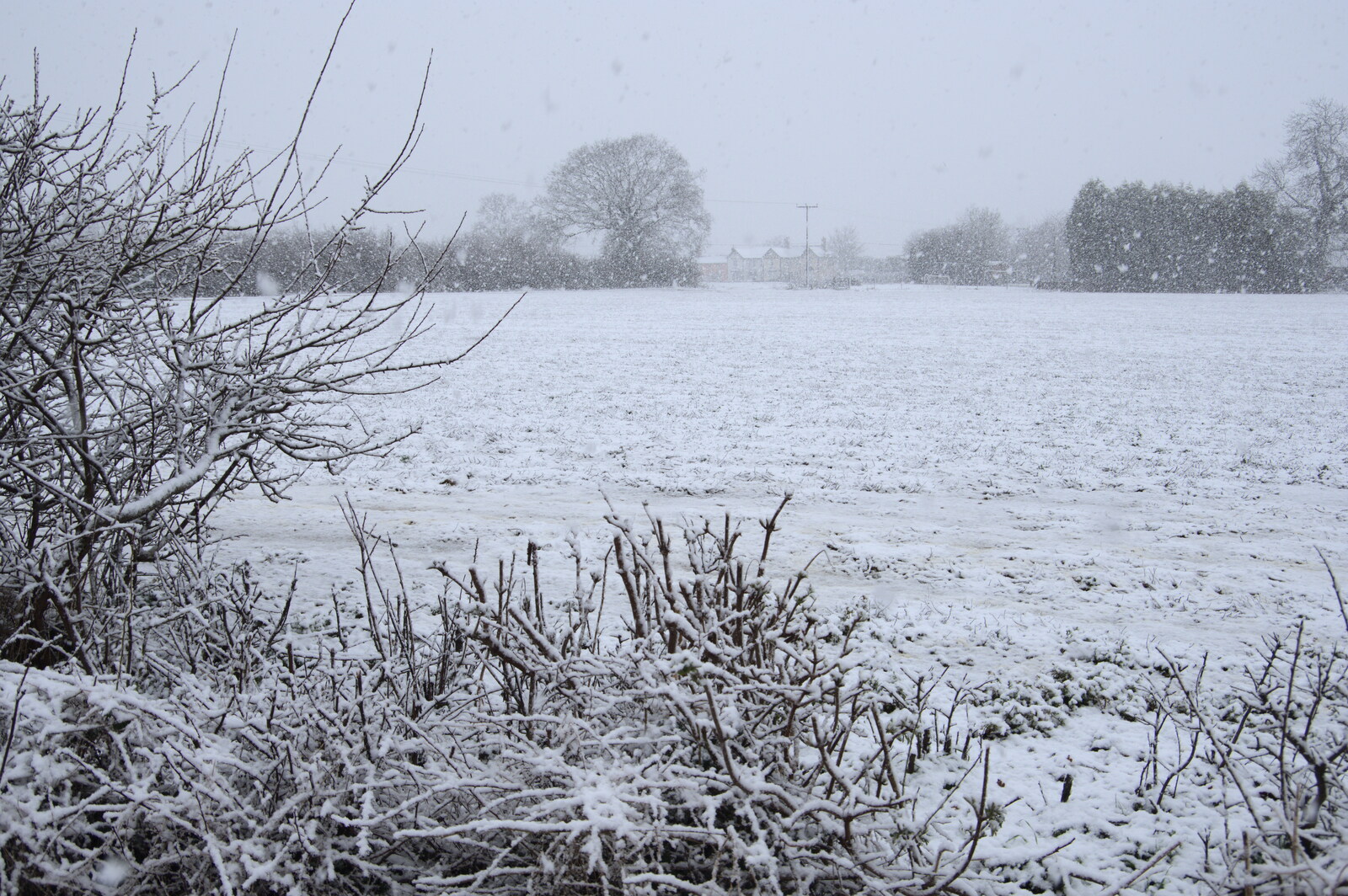 The side field is all snowy from Guys, Dolls, and a Snow Day, Brome, Suffolk - 11th March 2023