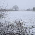 The side field is all snowy, Guys, Dolls, and a Snow Day, Brome, Suffolk - 11th March 2023