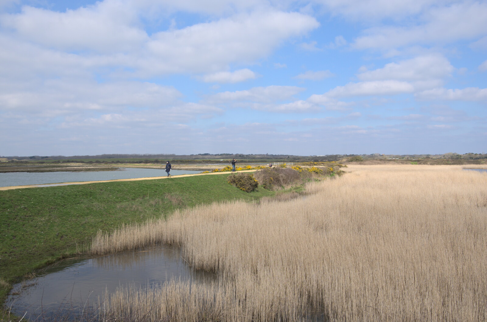 The salt marshes of Keyhaven from A Day in New Milton, Hampshire - 3rd April 2023