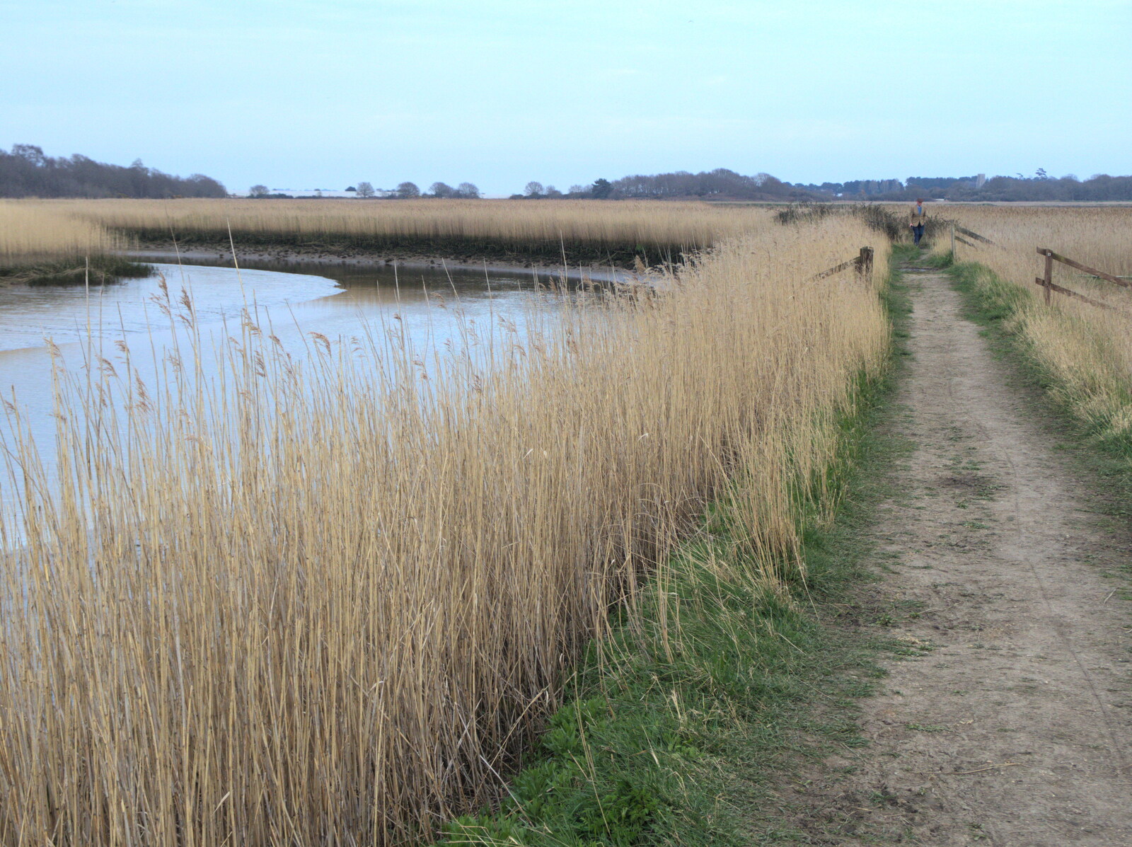Reeds, and the River Alde from Fred and the Orchestra, Snape Maltings, Suffolk - 5th April