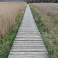 A boardwalk heads off into the distance, Fred and the Orchestra, Snape Maltings, Suffolk - 5th April
