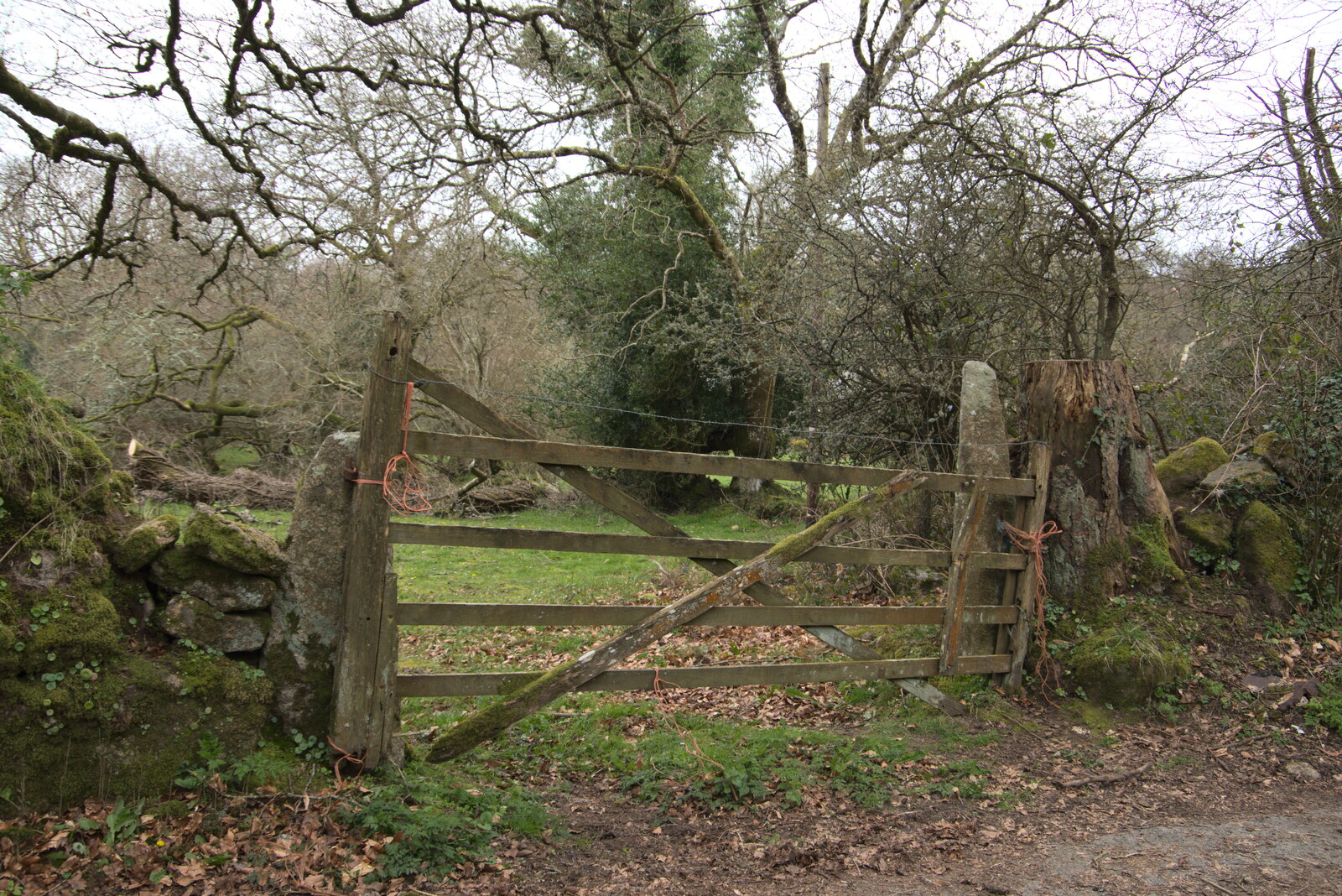 A Dartmoor gate from Easter in South Zeal and Moretonhampstead, Devon - 9th April