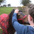 Fred gives the hairy pony a scratch, Easter in South Zeal and Moretonhampstead, Devon - 9th April