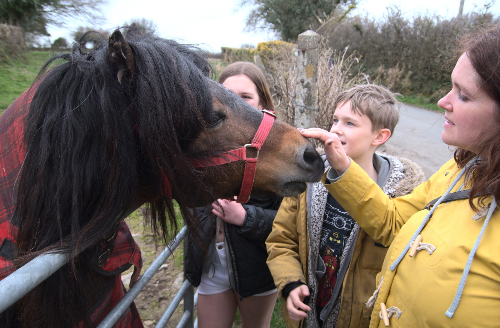 Isobel gives the pony a scratch on the nose from Easter in South Zeal and Moretonhampstead, Devon - 9th April