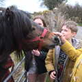 Isobel gives the pony a scratch on the nose, Easter in South Zeal and Moretonhampstead, Devon - 9th April