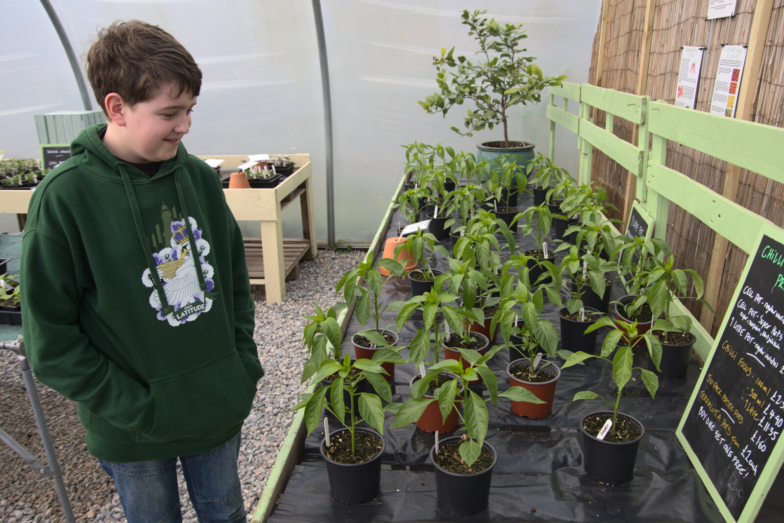 More chillis in the plant nursery from Chilli Farms, Okehampton and the Oxenham Arms, South Zeal, Devon - 10th April 2023