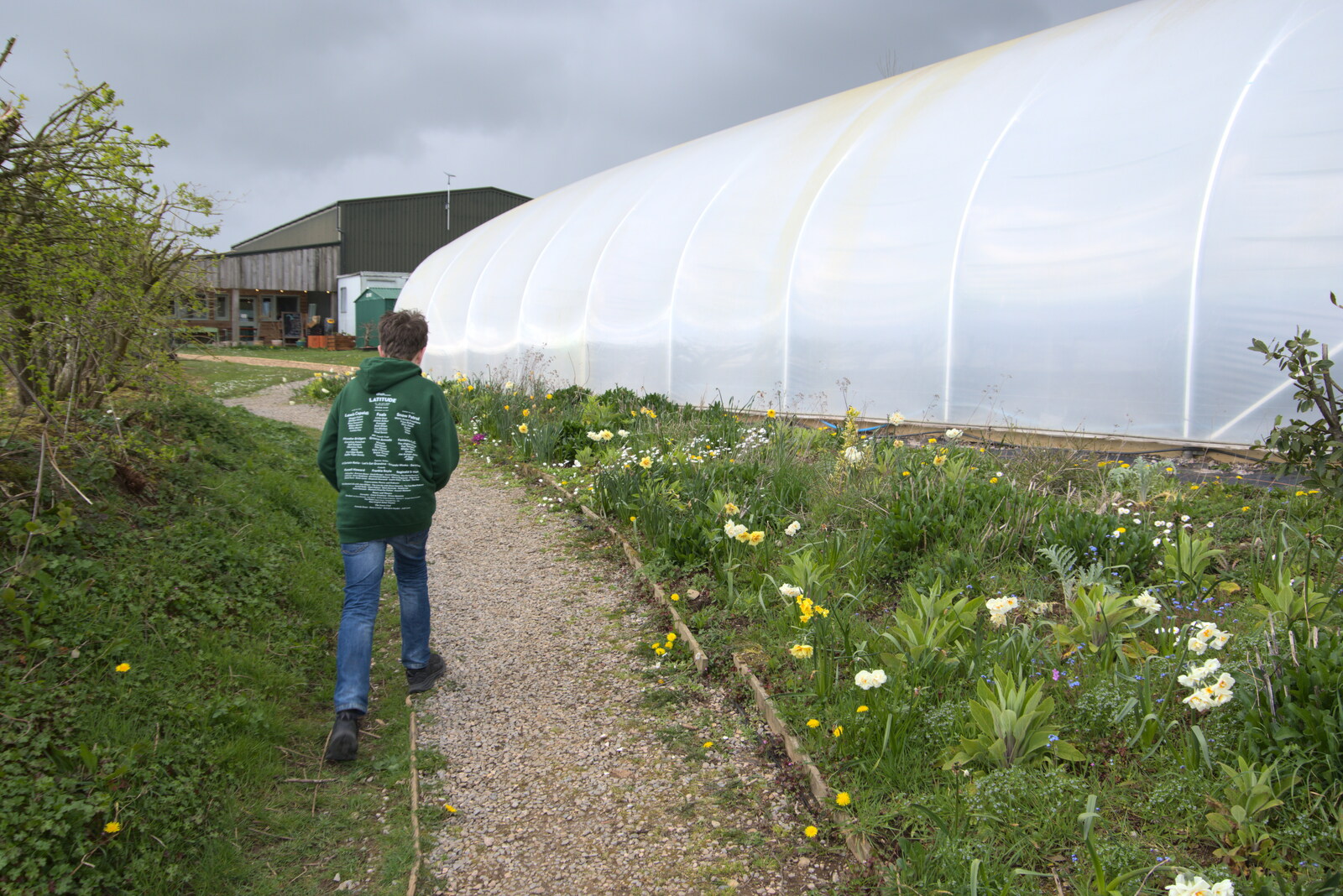 Fred roams around by a polytunnel from Chilli Farms, Okehampton and the Oxenham Arms, South Zeal, Devon - 10th April 2023