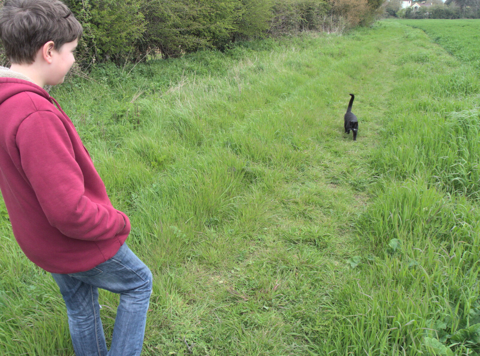 Lucy - the one-eyed cat - comes for a walk from Bike Rides and a Visit to the Farm Shop, Eye, Suffolk -  25th April 2023