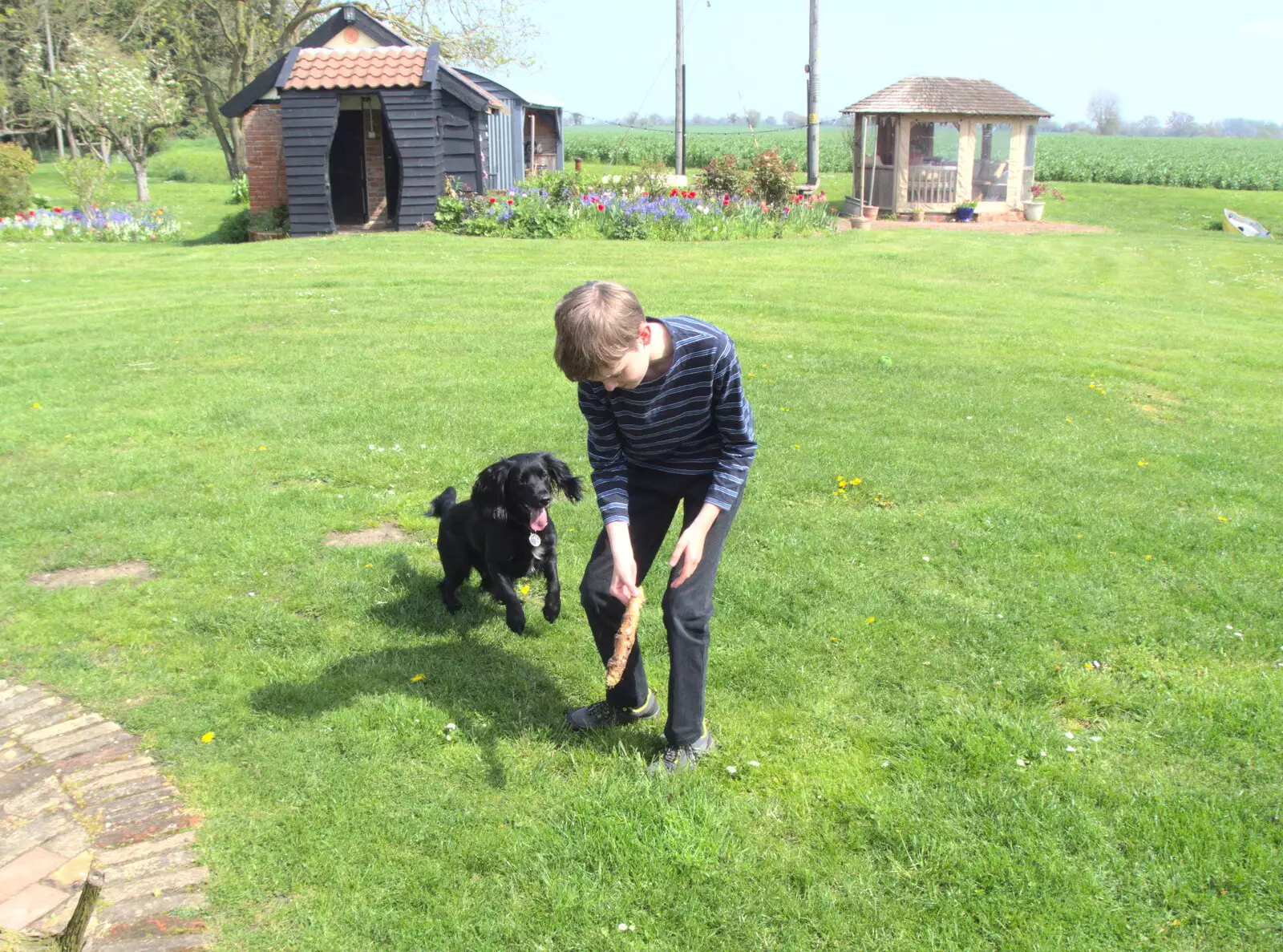 Over at Chickens', Harry plays with Pepper the dog, from Pizza at the Village Hall, Brome, Suffolk - 30th April 2023