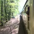 Harry peers out of the door , A Coronation Camping Picnic, Kelling Heath, Norfolk - 6th May 2023