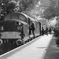 The Class 37 diesel is about to leave Holt, A Coronation Camping Picnic, Kelling Heath, Norfolk - 6th May 2023