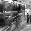 The Black Prince under steam, A Coronation Camping Picnic, Kelling Heath, Norfolk - 6th May 2023