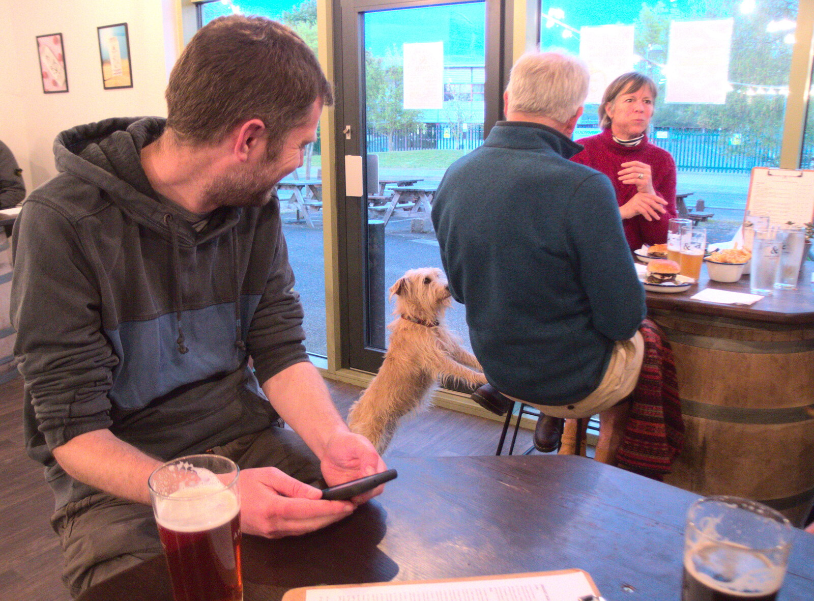 A small dog wants what they've got from DesignerMakers' Fund-Raising Ceilidh, The Cornhall, Diss - 13th May 2023