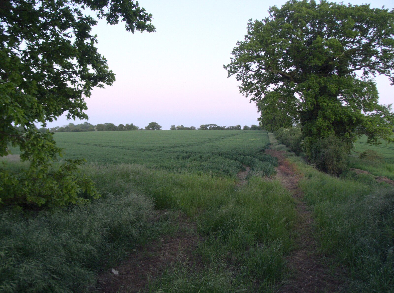 It's a nice evening for a wee in a field from The BSCC at Rushall, South Lopham and Redgrave - 25th May 2023