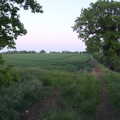 It's a nice evening for a wee in a field, The BSCC at Rushall, South Lopham and Redgrave - 25th May 2023