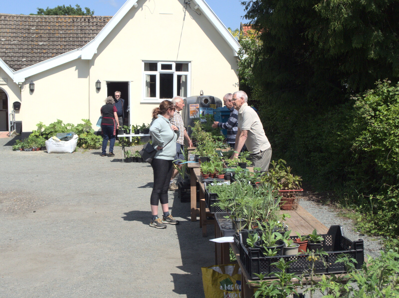 Isobel chats at the Brome plant sale from The BSCC at Rushall, South Lopham and Redgrave - 25th May 2023
