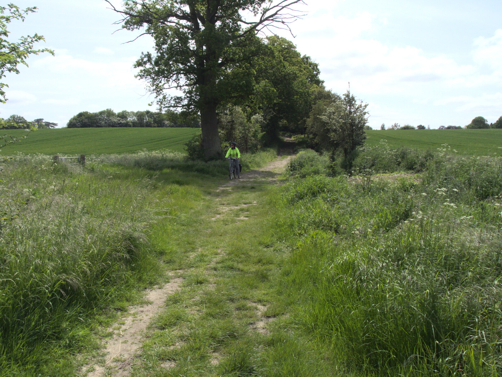 On the path leading from Water Mill Lane from A Quest for the Fabled Swimming Spot, Hoxne, Suffolk - 29th May 2023